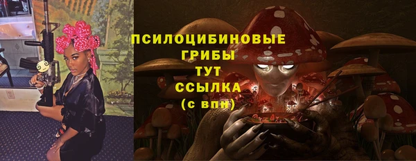 spice Киреевск